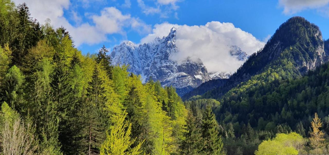 Apartment Alpska Astra Kranjska Gora Exterior foto